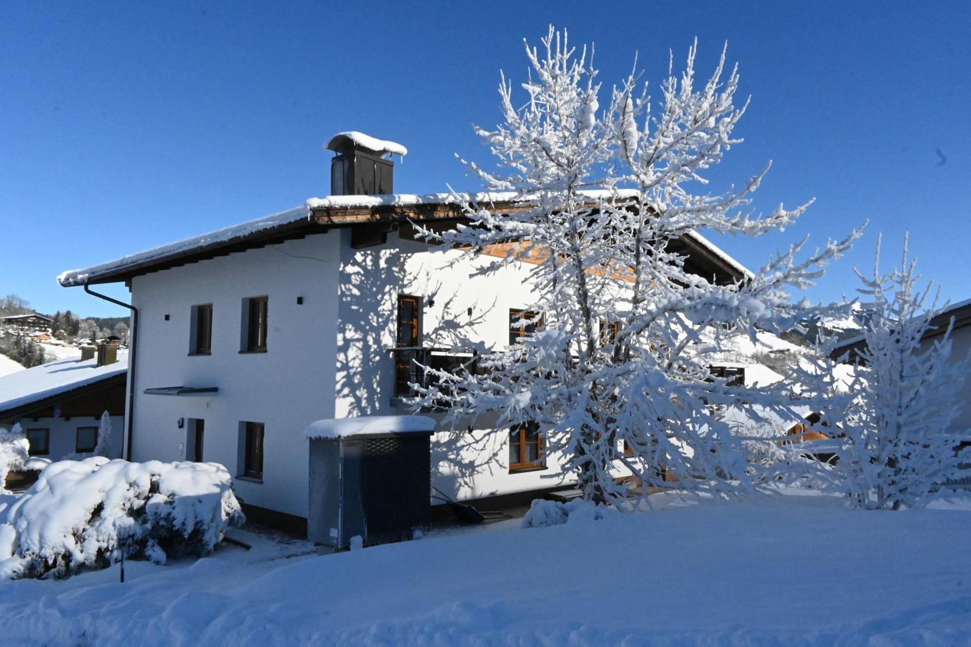 Nicky Apartments And Studios Niederau Εξωτερικό φωτογραφία